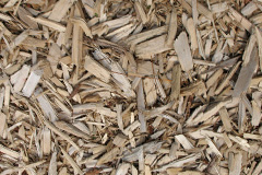 biomass boilers Weetwood Common